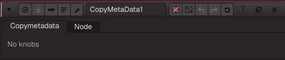 CopyMetaData properties